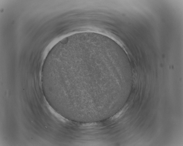 X0000074231535200609151634