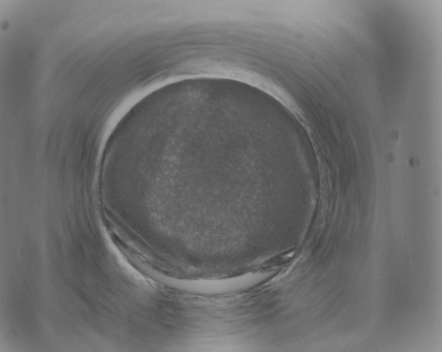 X0000074231536200609151634