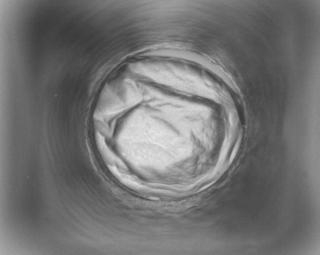 X0000074230001200609222045