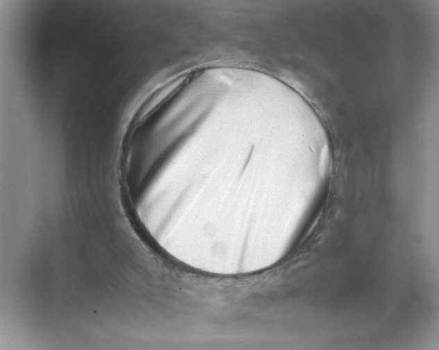 X0000074230007200609222045
