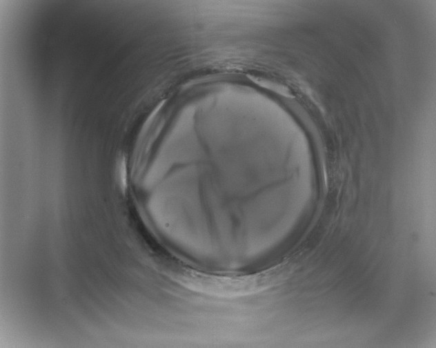 X0000074230027200609222045