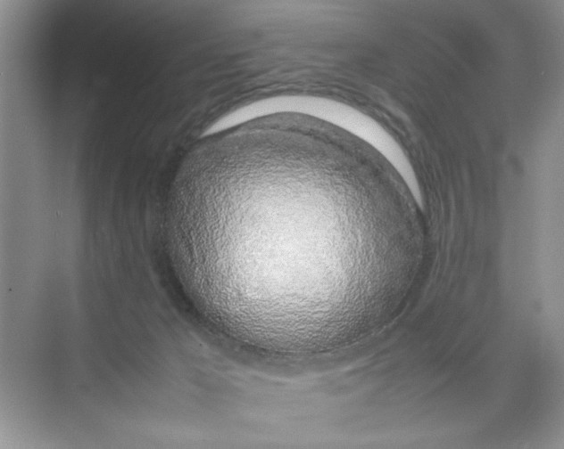 X0000074230029200609222045