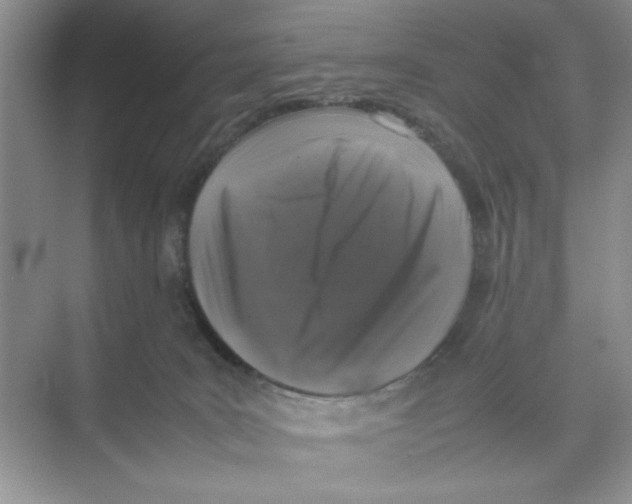 X0000074230035200609222045