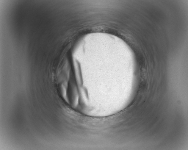 X0000074230037200609222045