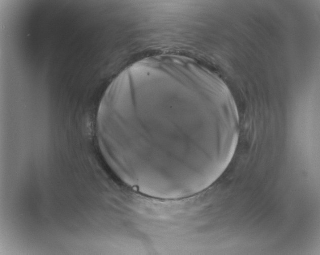 X0000074230039200609222044