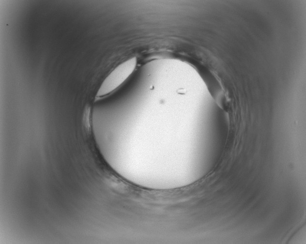 X0000074230041200609222044