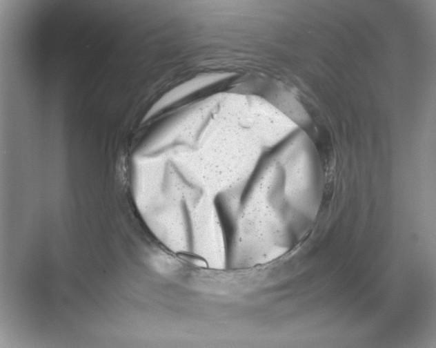 X0000074230045200609222044