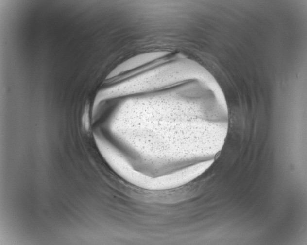 X0000074230046200609222044