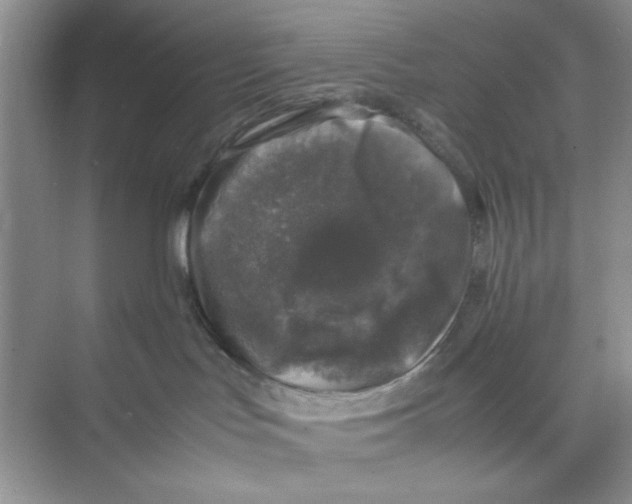 X0000074230047200609222044