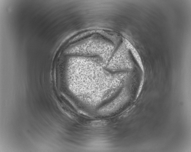 X0000074230050200609222044