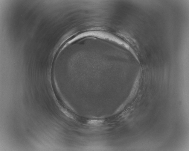 X0000074230051200609222044