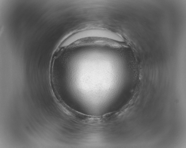 X0000074230052200609222044