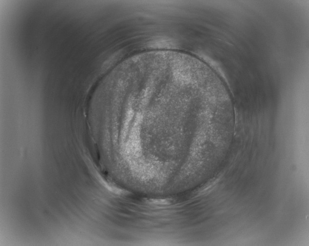 X0000074230061200609222044
