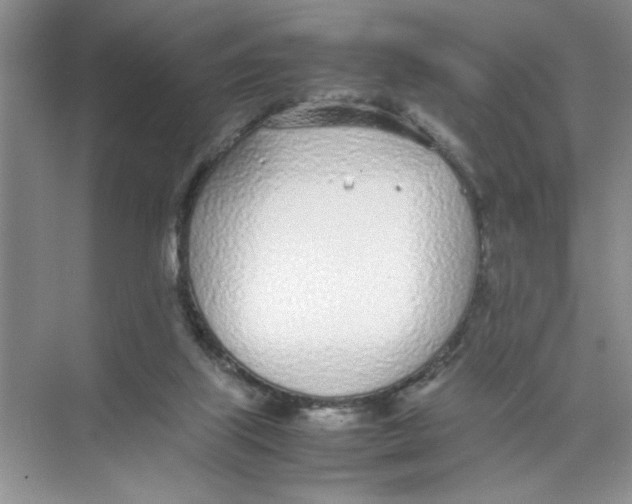 X0000074230067200609222044