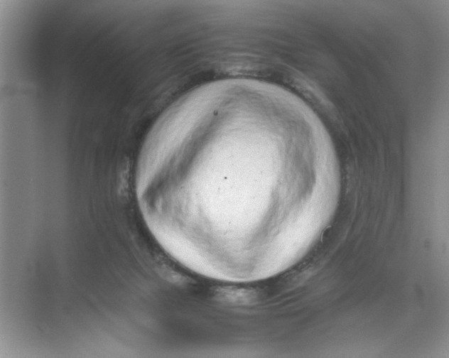 X0000074230073200609222044