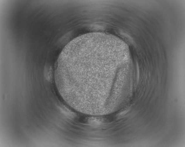 X0000074230077200609222044