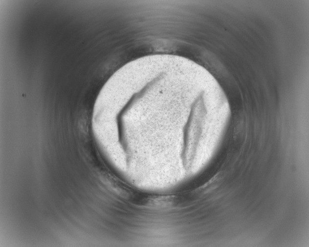 X0000074230078200609222044