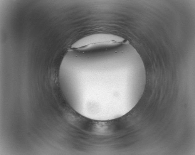 X0000074230091200609222044