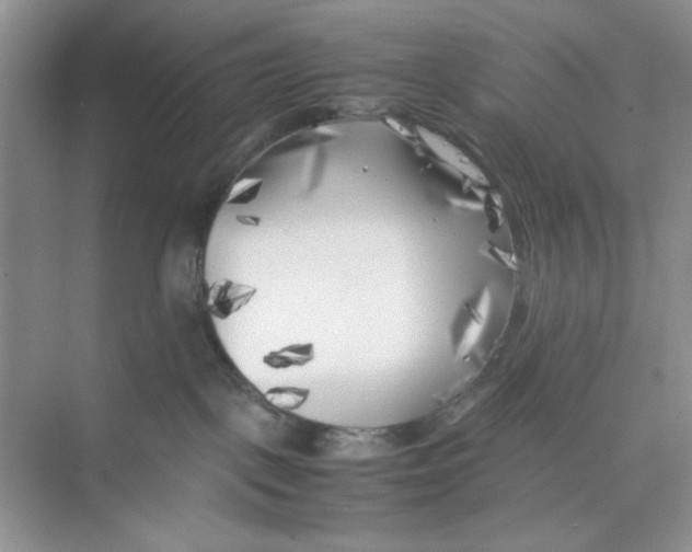 X0000074230093200609222044