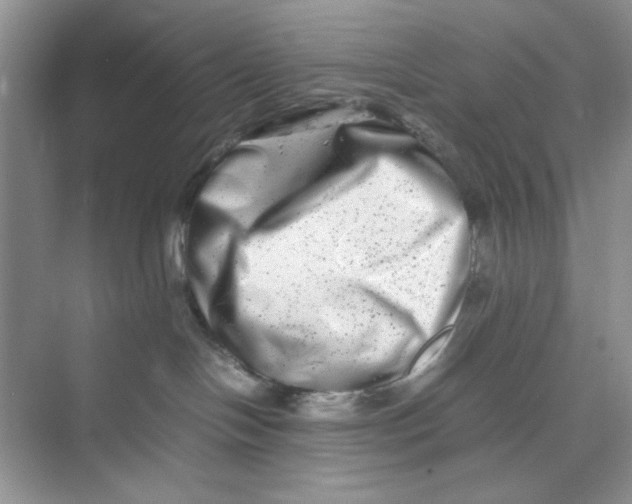 X0000074230094200609222044