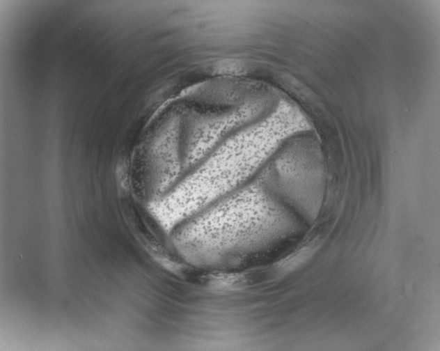X0000074230096200609222044