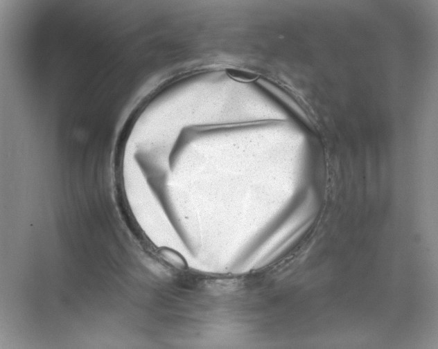 X0000074230102200609222043
