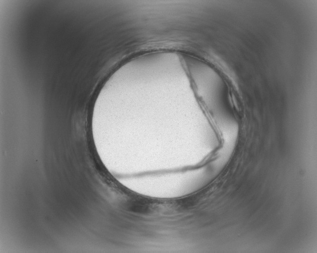 X0000074230107200609222043