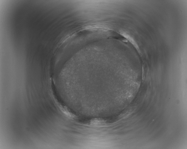 X0000074230109200609222043