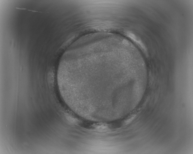 X0000074230113200609222043