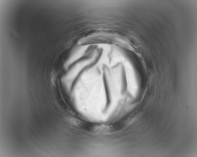 X0000074230125200609222043