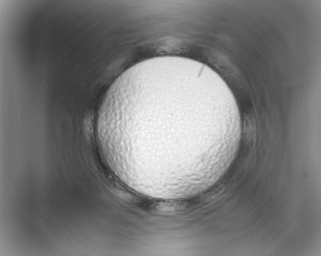 X0000074230127200609222043