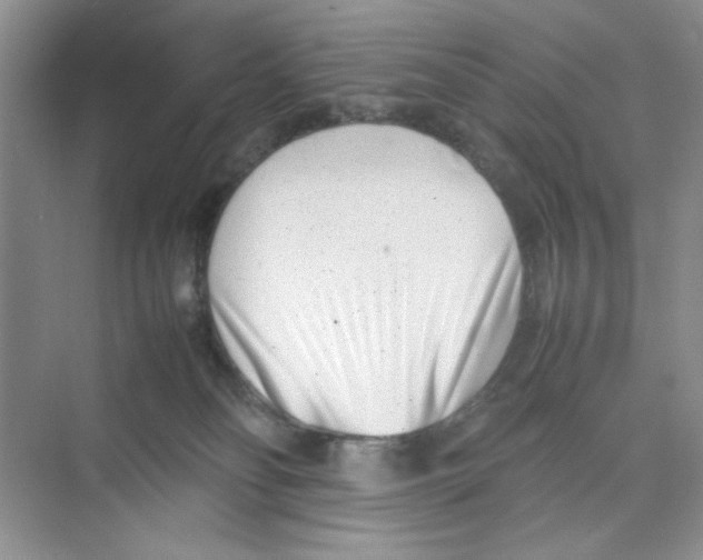 X0000074230134200609222043