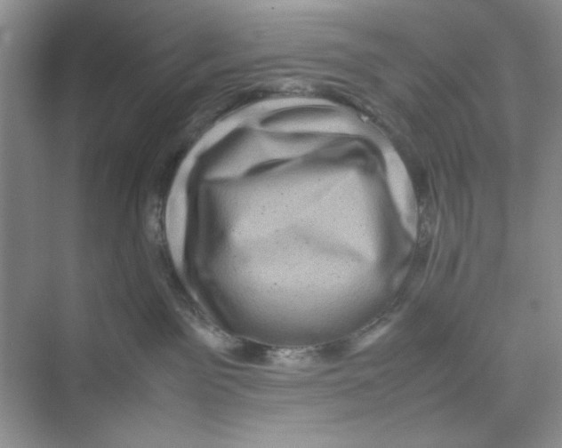 X0000074230141200609222043