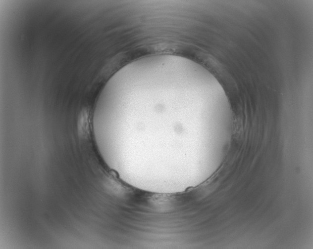 X0000074230142200609222043