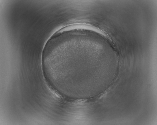 X0000074230148200609222042