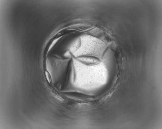 X0000074230150200609222042