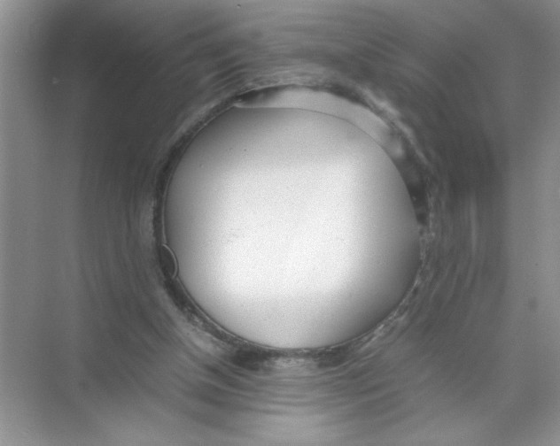 X0000074230154200609222042