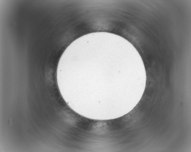 X0000074230162200609222042