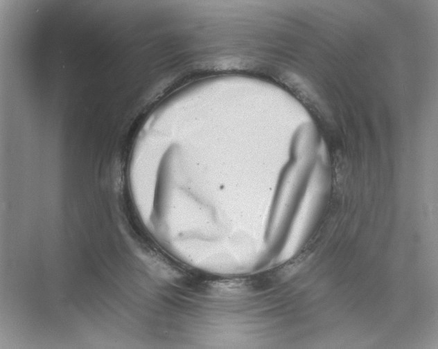 X0000074230164200609222042