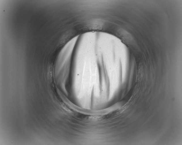 X0000074230172200609222042