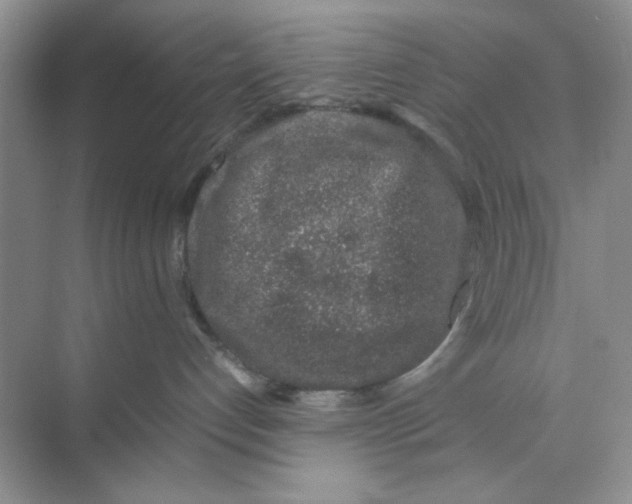 X0000074230192200609222043