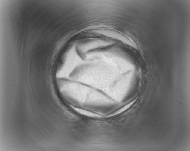 X0000074230193200609222042