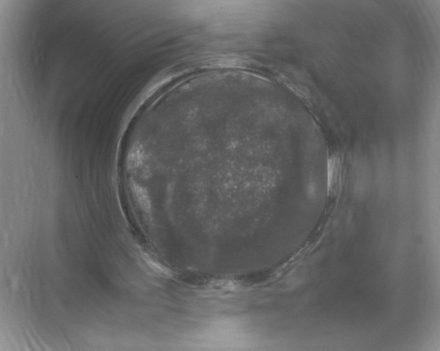X0000074230195200609222042