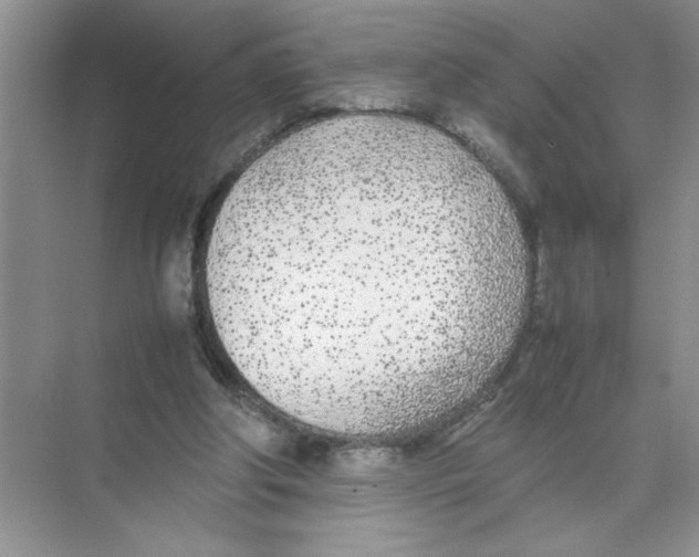 X0000074230202200609222042