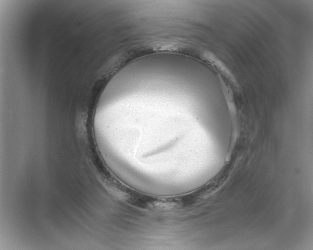 X0000074230209200609222042