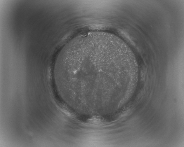 X0000074230211200609222042