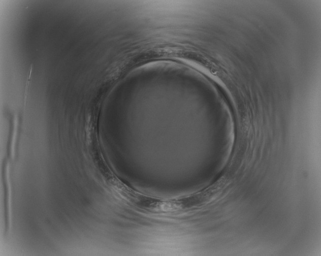 X0000074230223200609222041