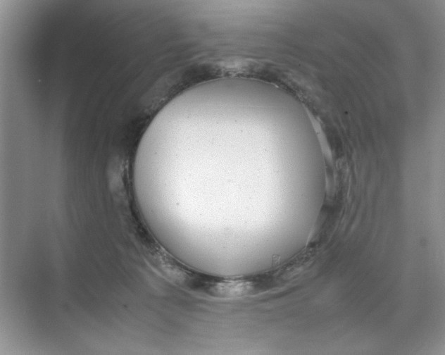 X0000074230225200609222041
