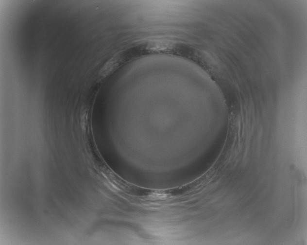 X0000074230227200609222041