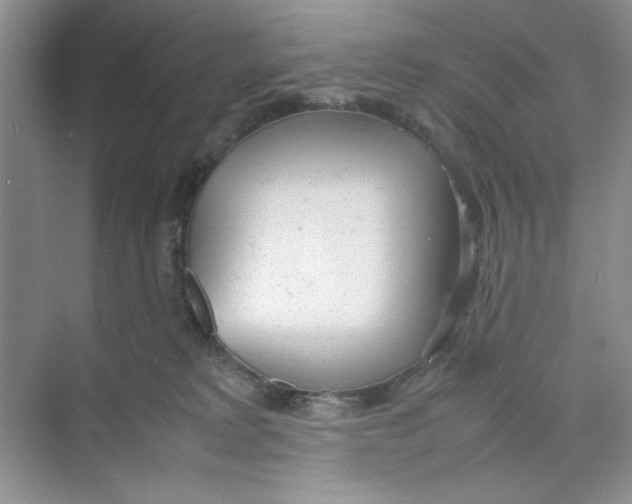 X0000074230229200609222041